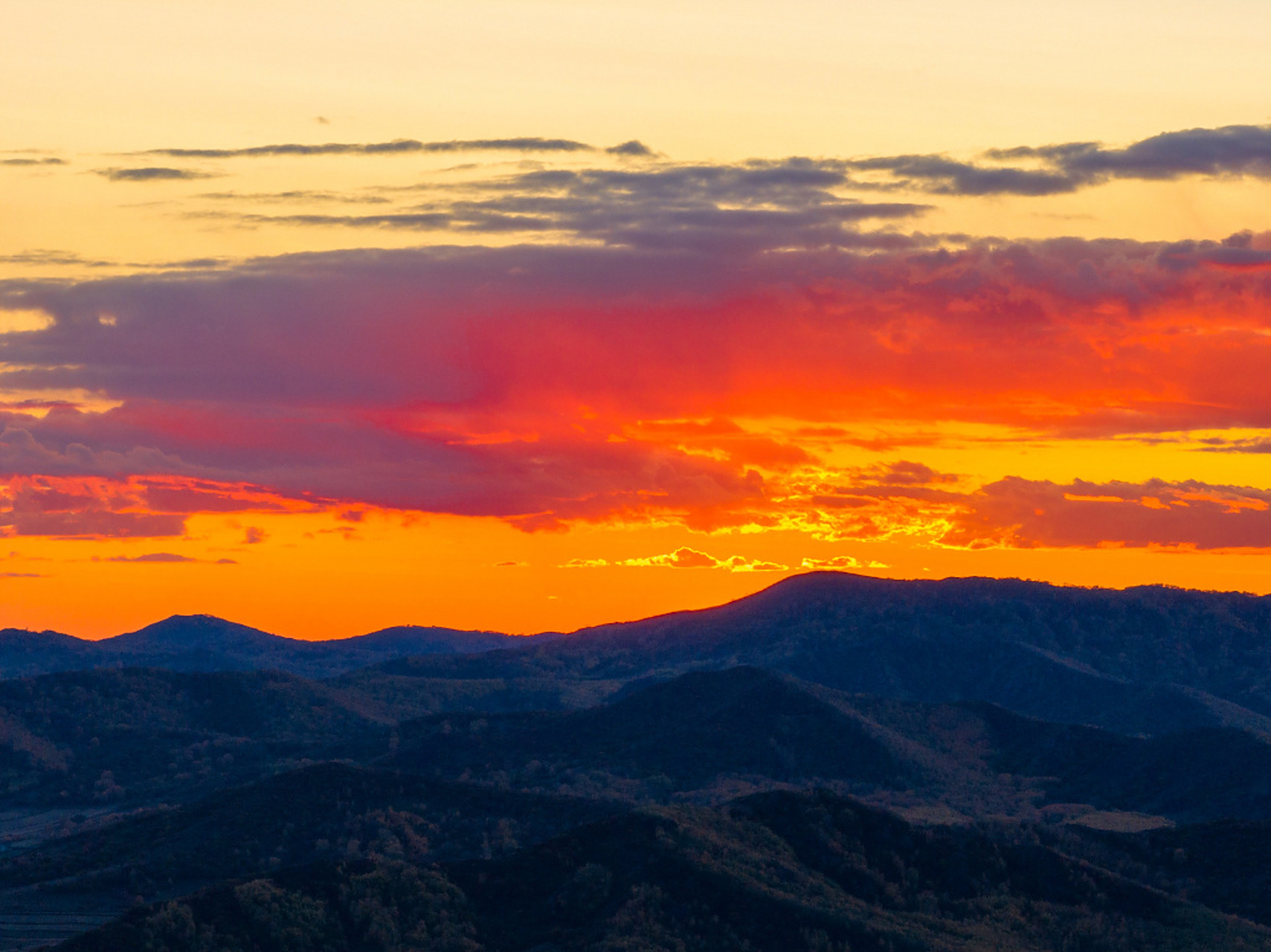 夕阳西下,晚霞将内蒙古乌兰布统的天边映红,仿佛打翻了天空的调色盘