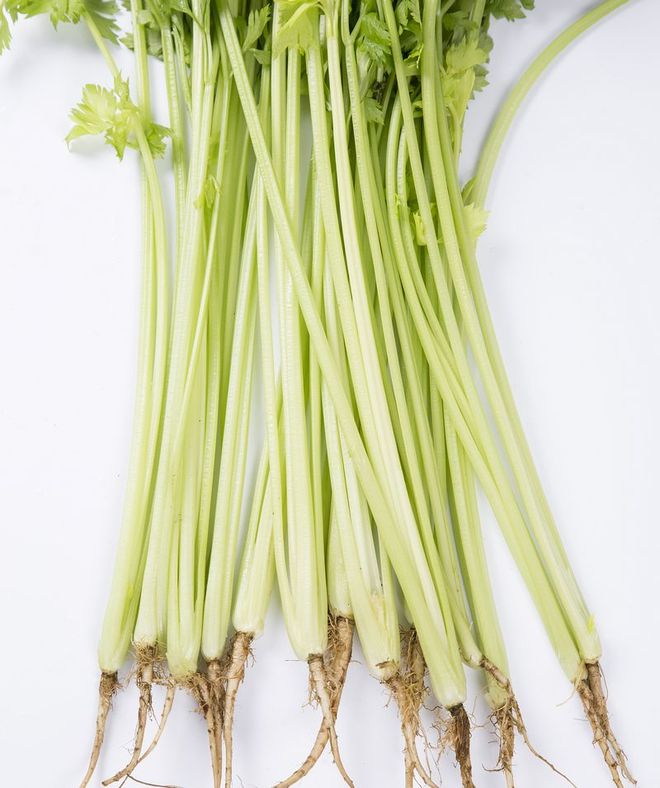 西芹和芹菜有什么区别?