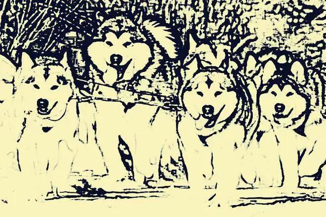 吴岚疼得满地打滚,发出惨叫.