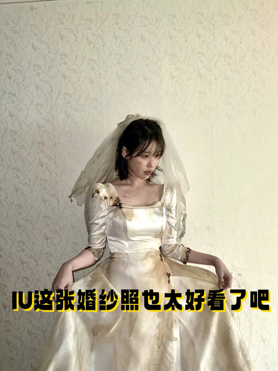 iu婚纱照手机壁纸图片