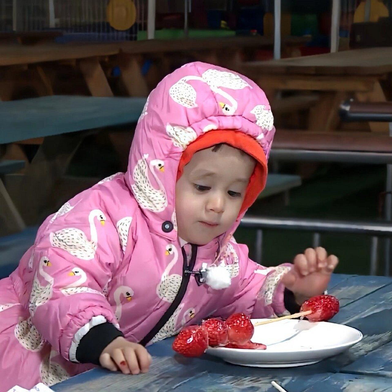 本特利 又幸福了  92分享一个超级可爱的网红萌娃给大家!