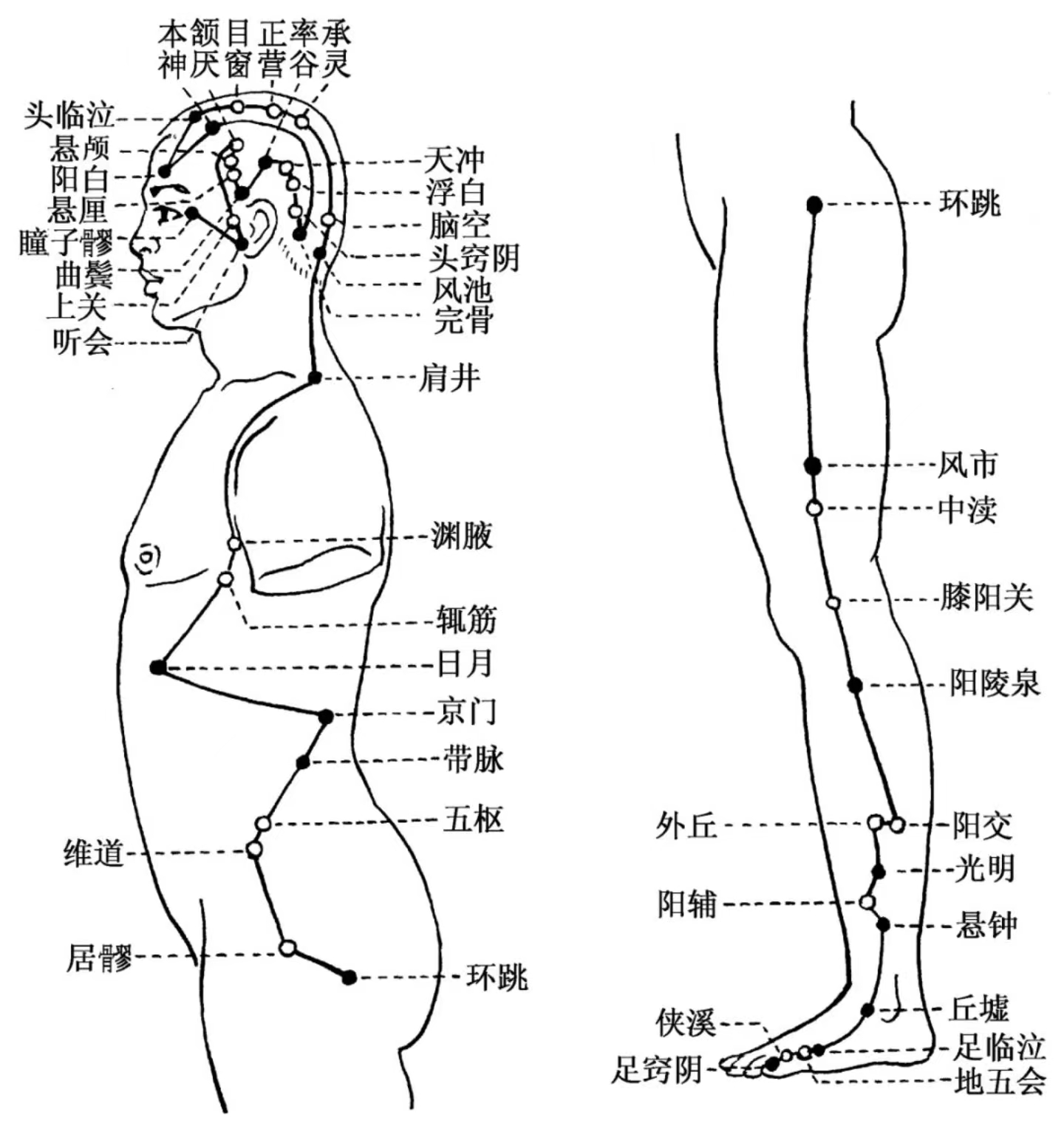 足少阳胆经作用图片