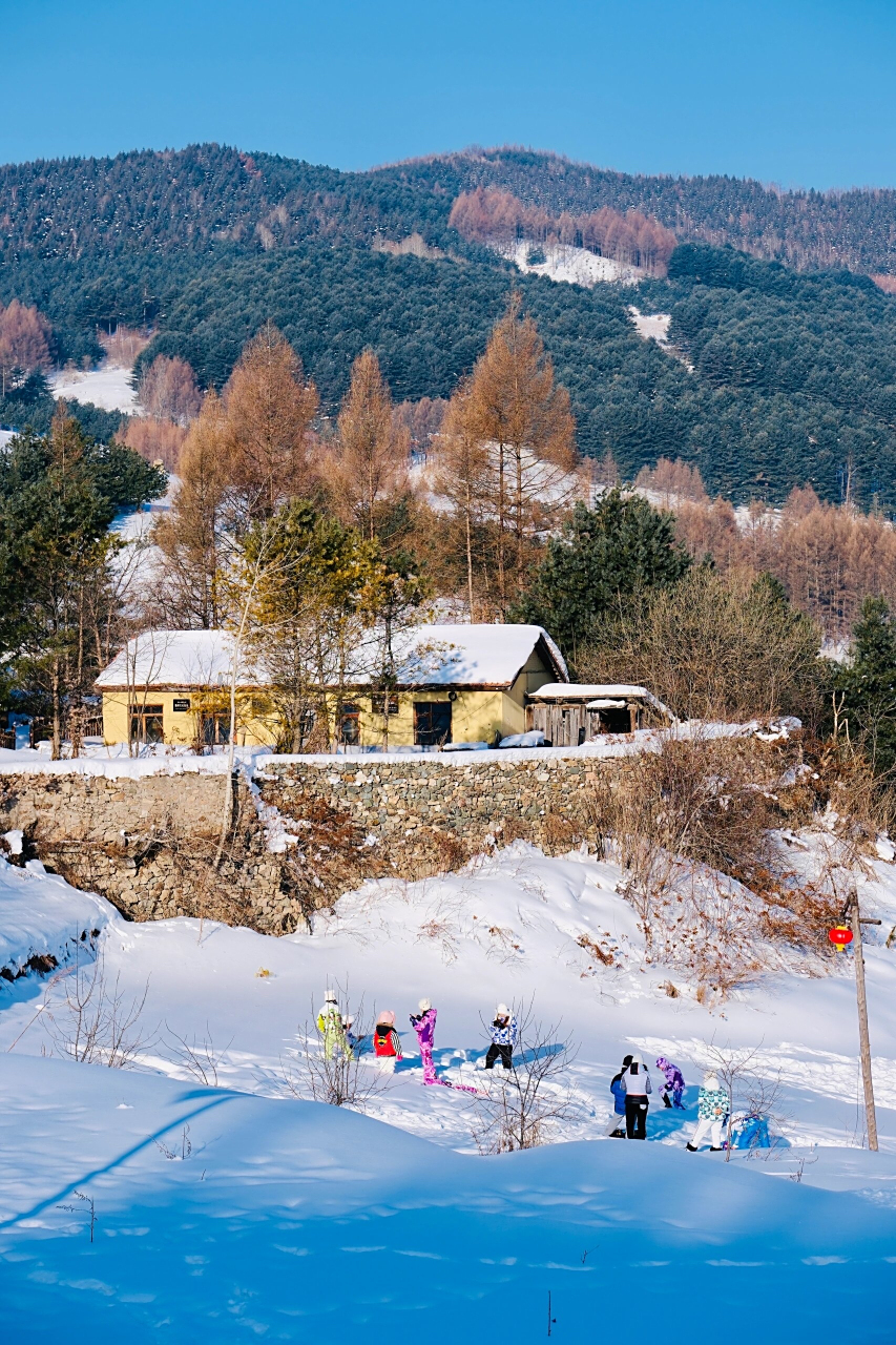 80后小学课本里的《小站》 松岭雪村||位于吉林省白山市临江市花山