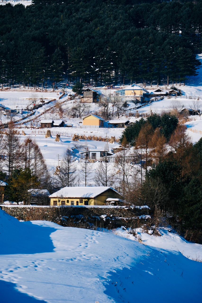 80后小学课本里的《小站》 松岭雪村||位于吉林省白山市临江市花山