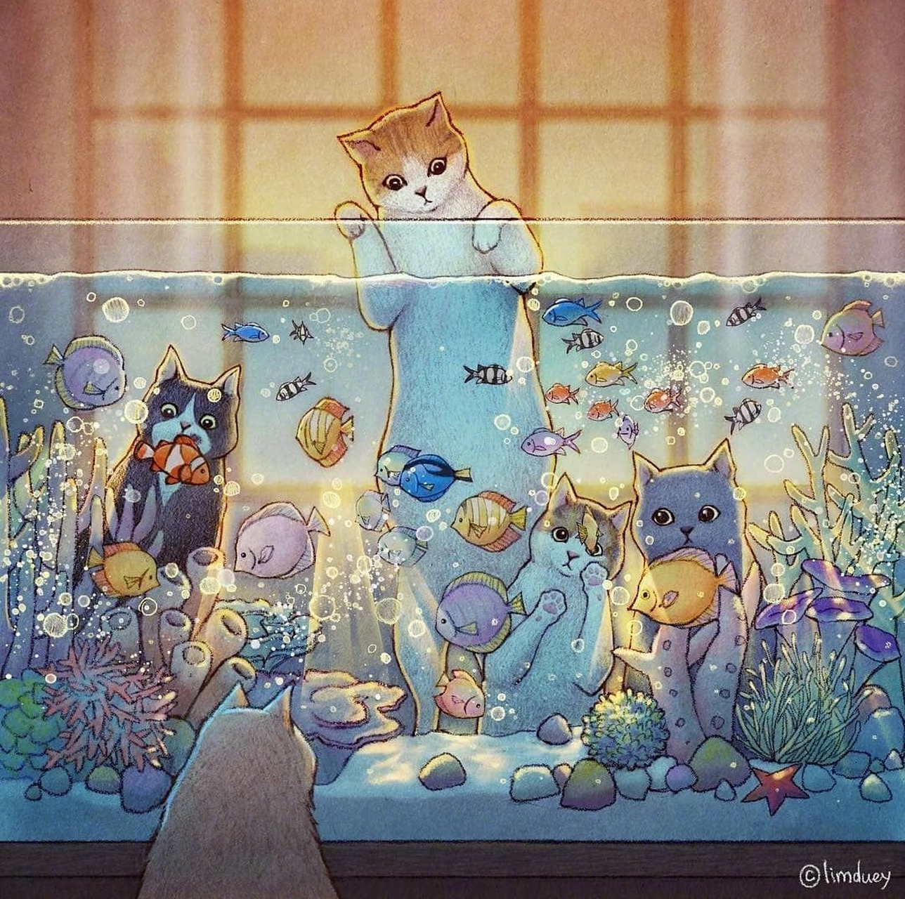 画师 limduey 绘画作品欣赏,用优美的色彩描绘了生活中可爱的猫咪.