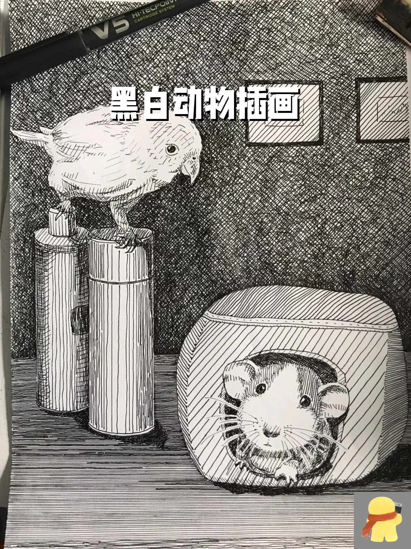 黑白动物插画