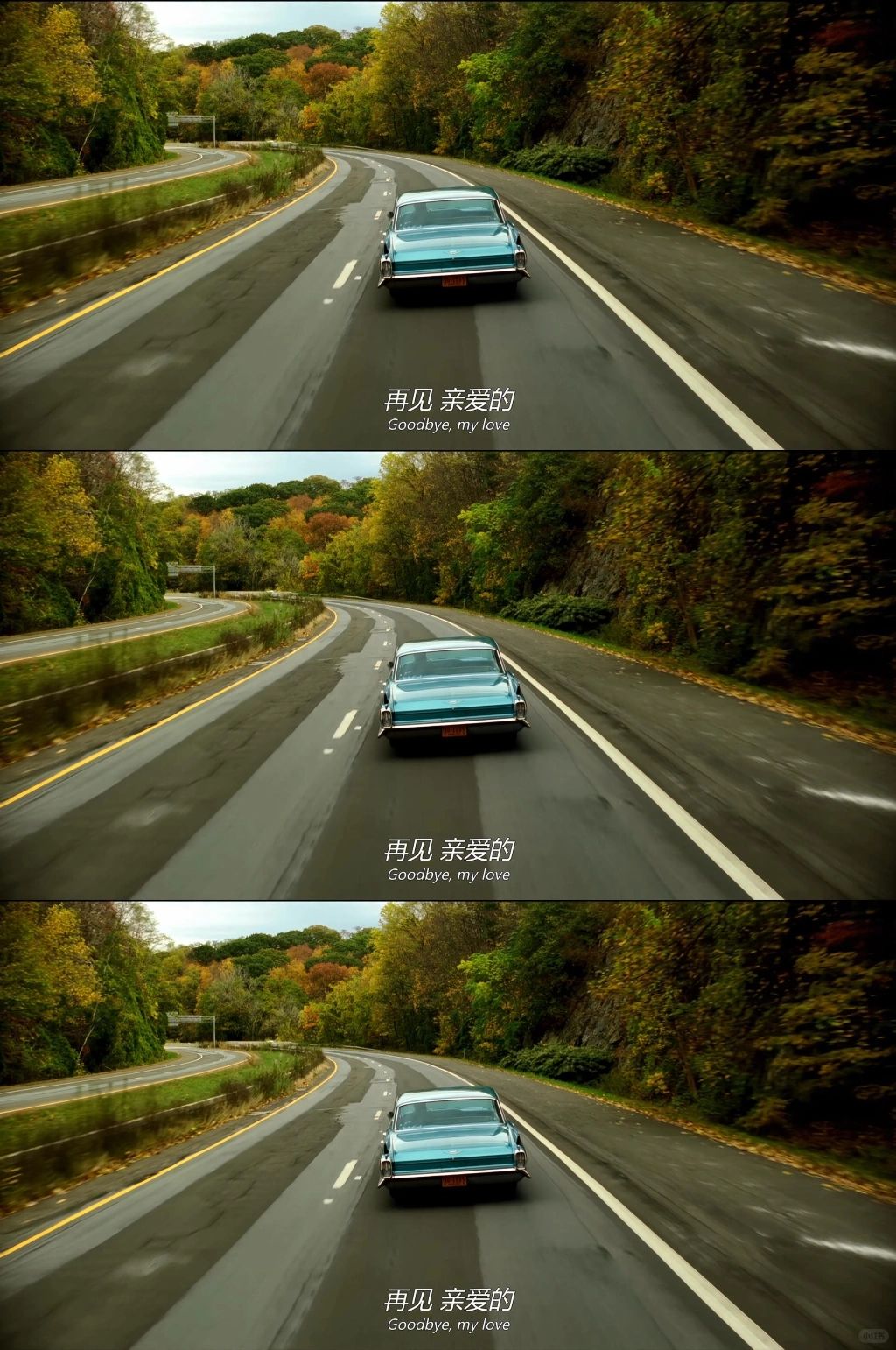 今天我要给你们带来一款超级经典的电影壁纸——《绿皮书》!