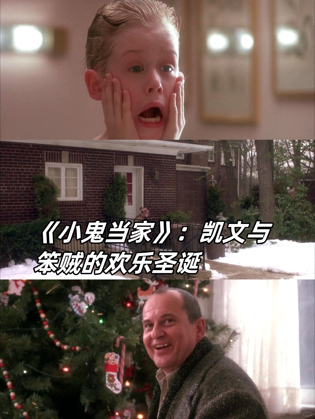 这部电影讲述了凯文如何与两个笨贼斗智斗勇