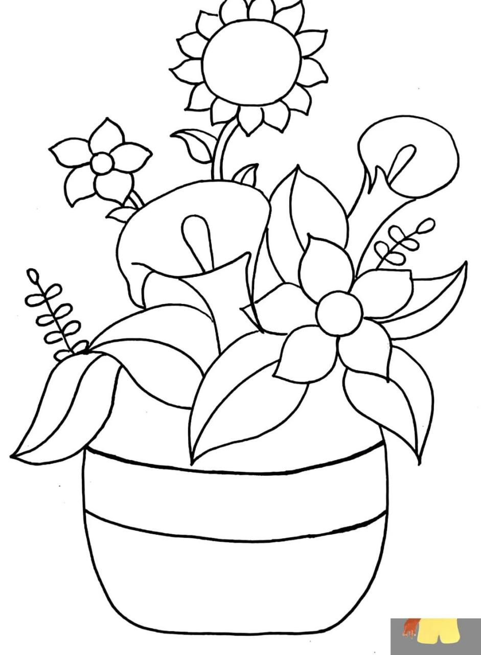 植物系列插画 临摹:画画的小猪