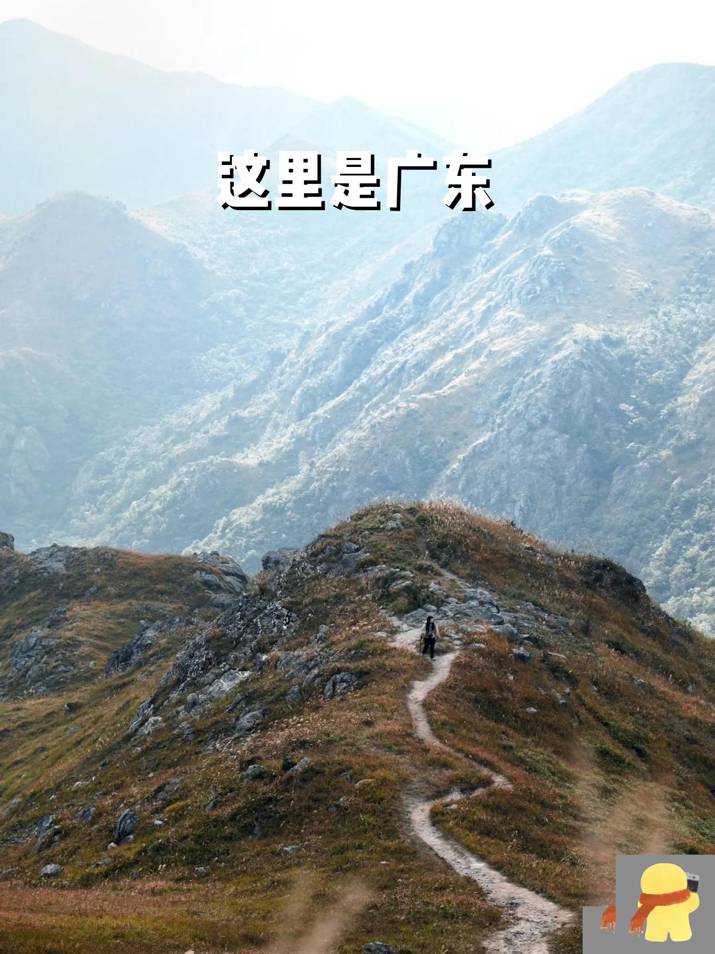 千亩金黄色草坪与奇石 景观无比震撼[惊恐r] 导航:龙南绿野山庄(江西)