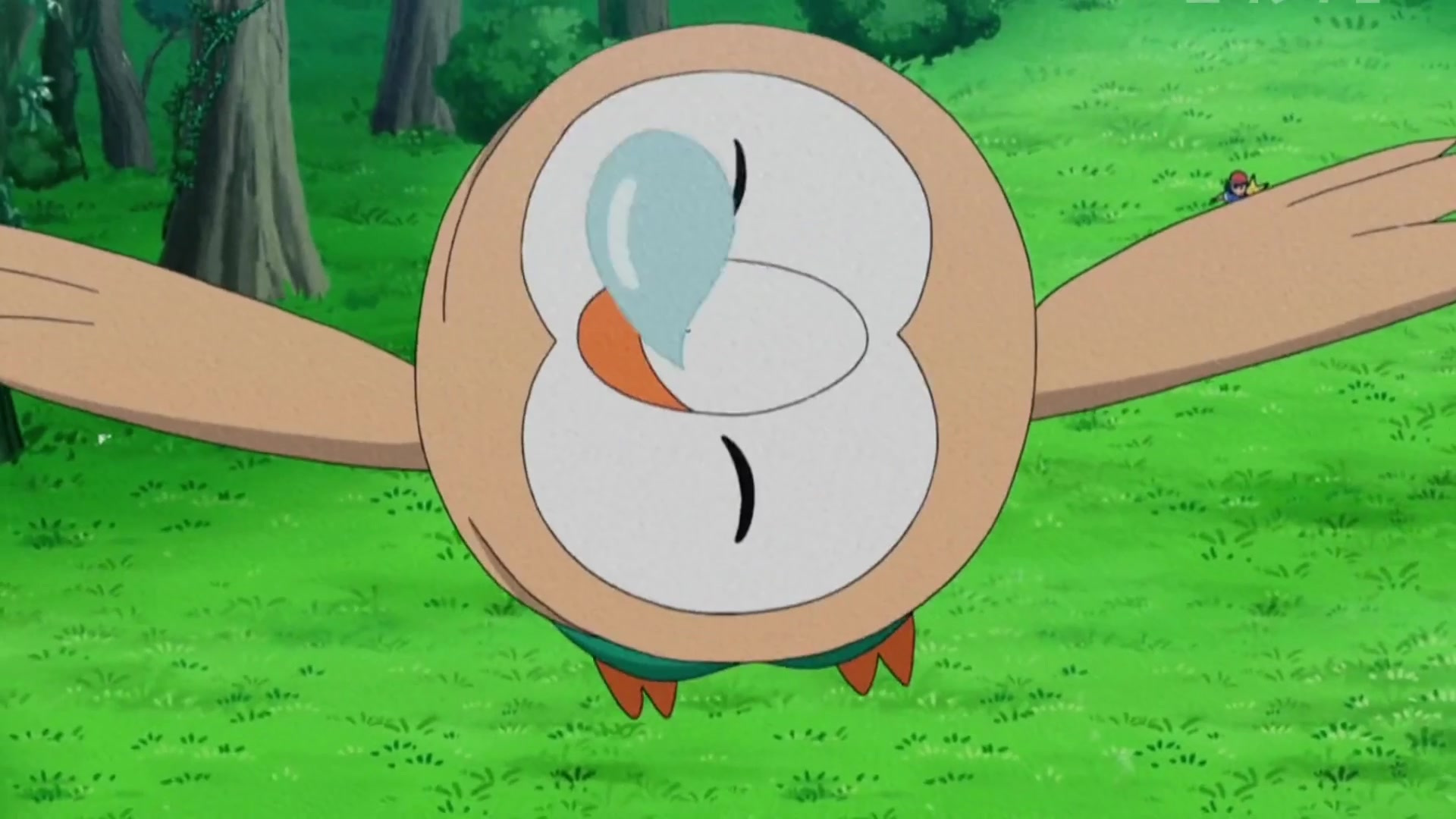 《宝可梦》,谁能拒绝,一只爱睡觉的木木枭呢