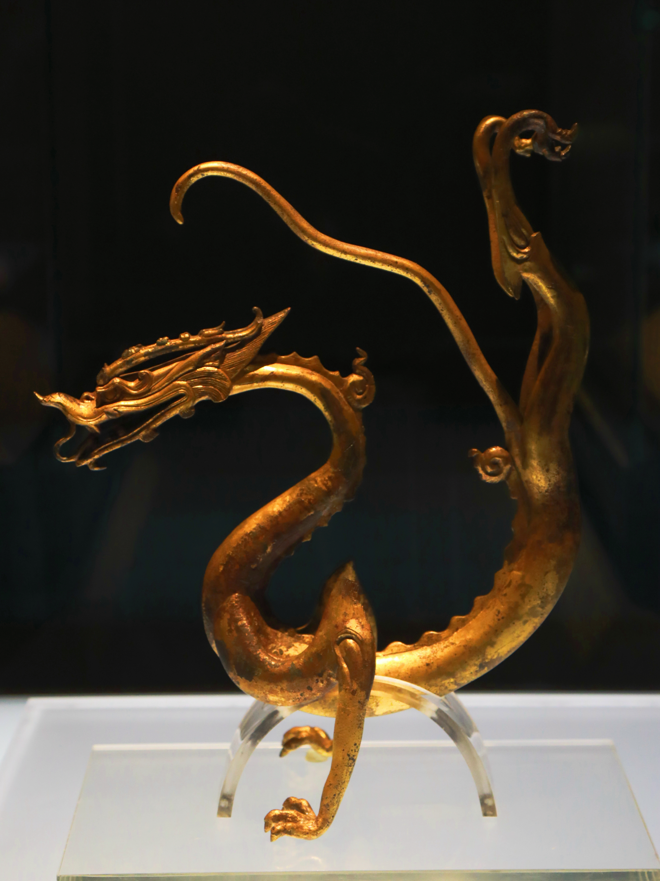 传世一条龙,传世一条龙公司