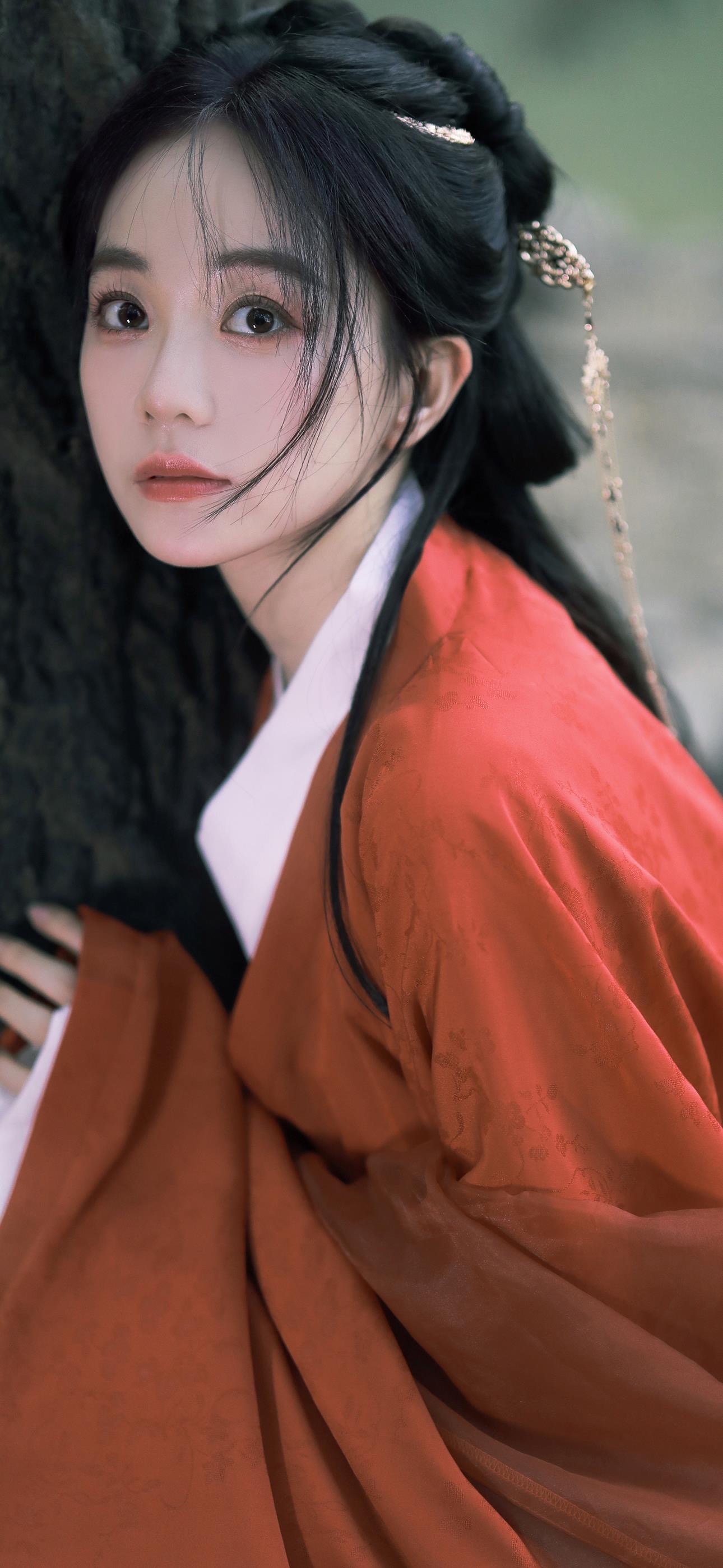 古言:《解风情》《陛下表妹珠圆玉润》《表姑娘可不能什么都信》