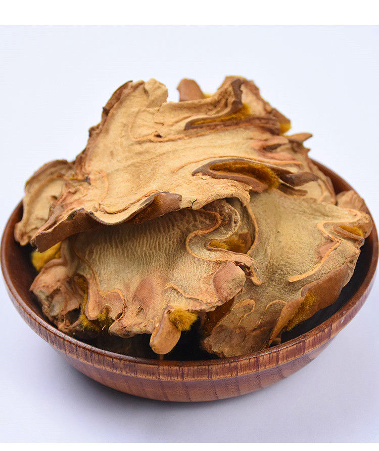 每日一味中药:狗脊