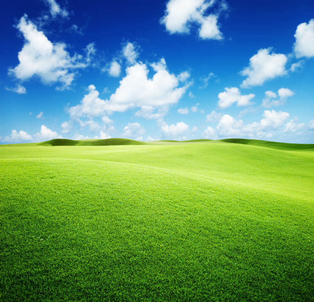 我们一起看看天空