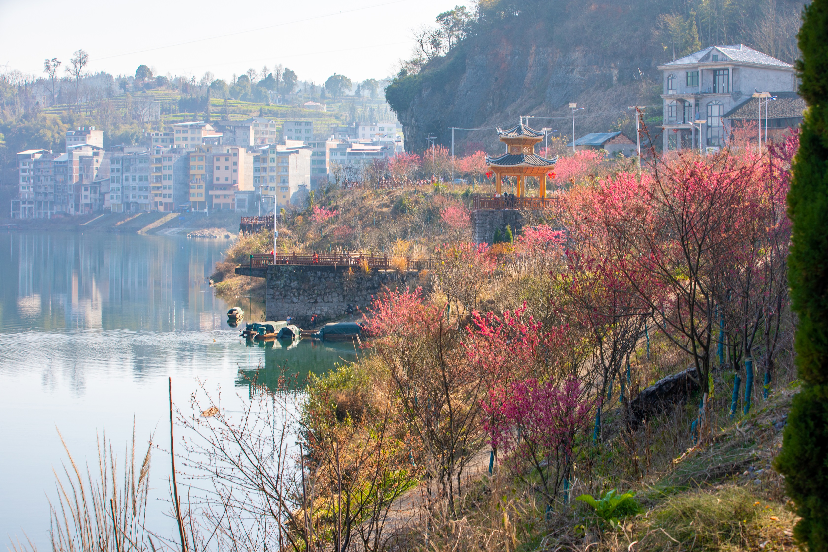 天柱县白市图片