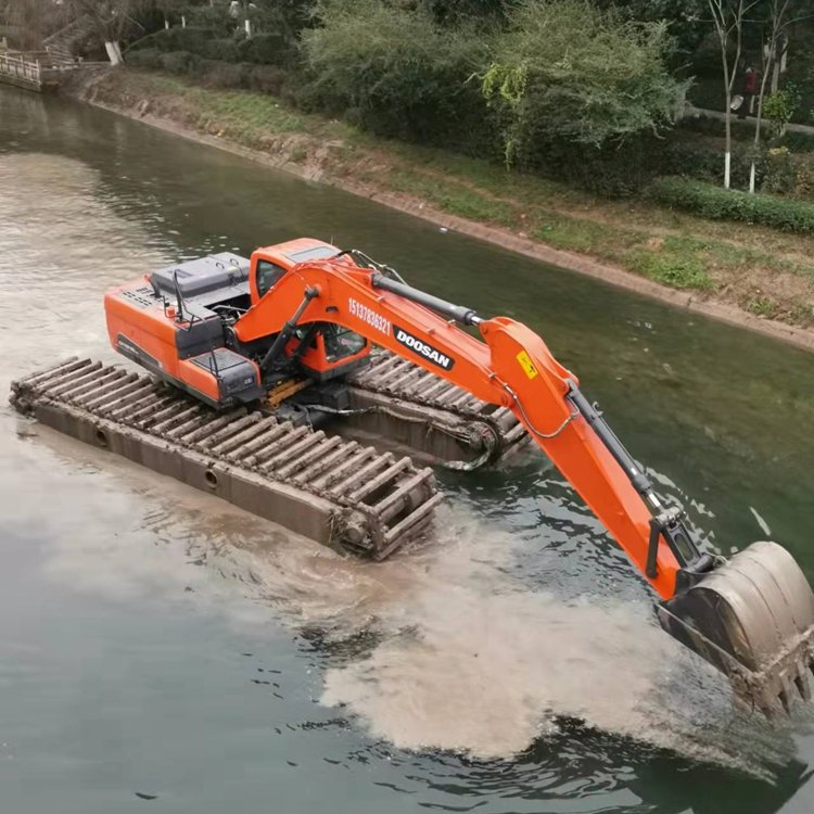 江西水陆挖机出租图片