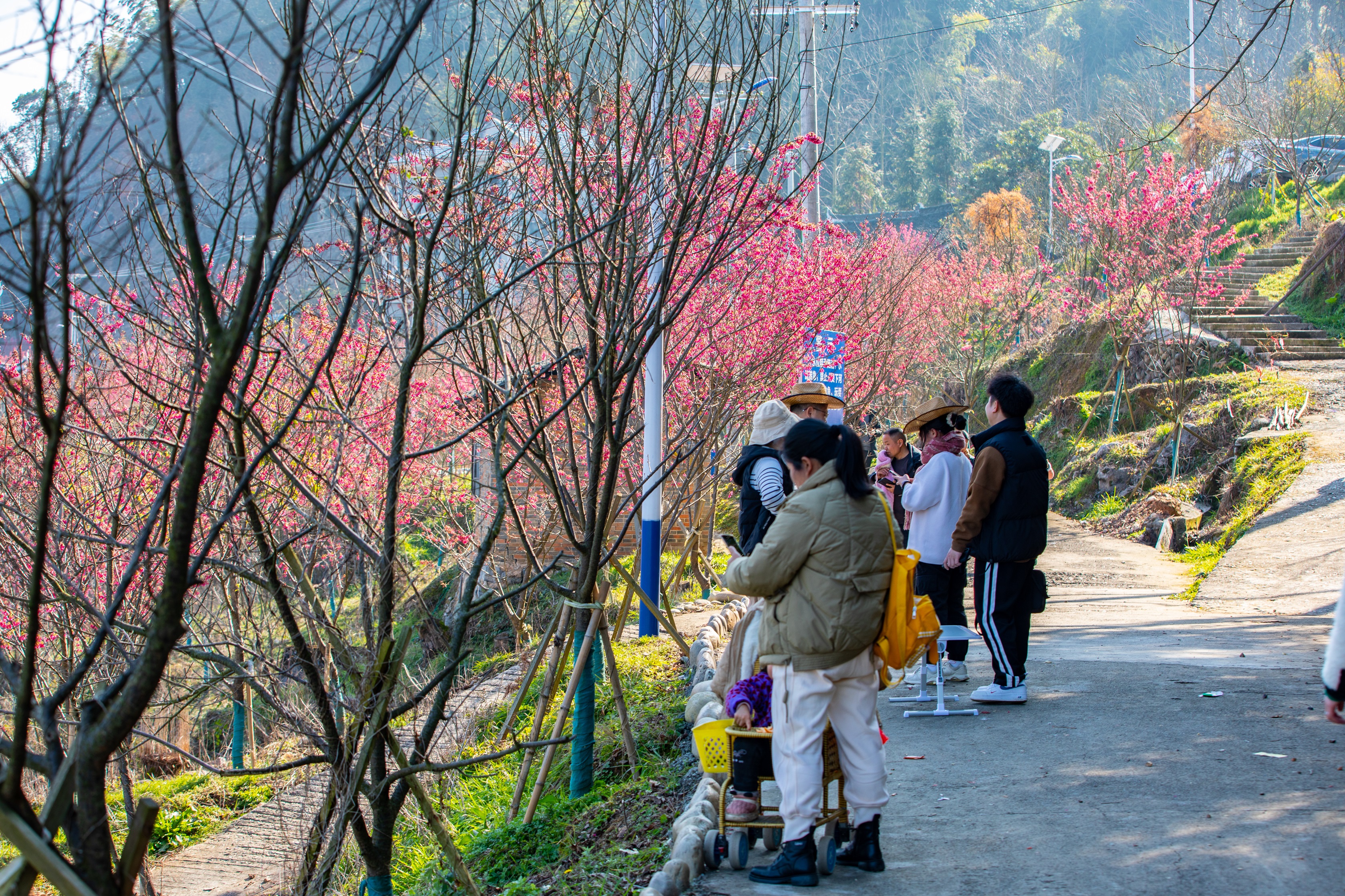 天柱县白市图片