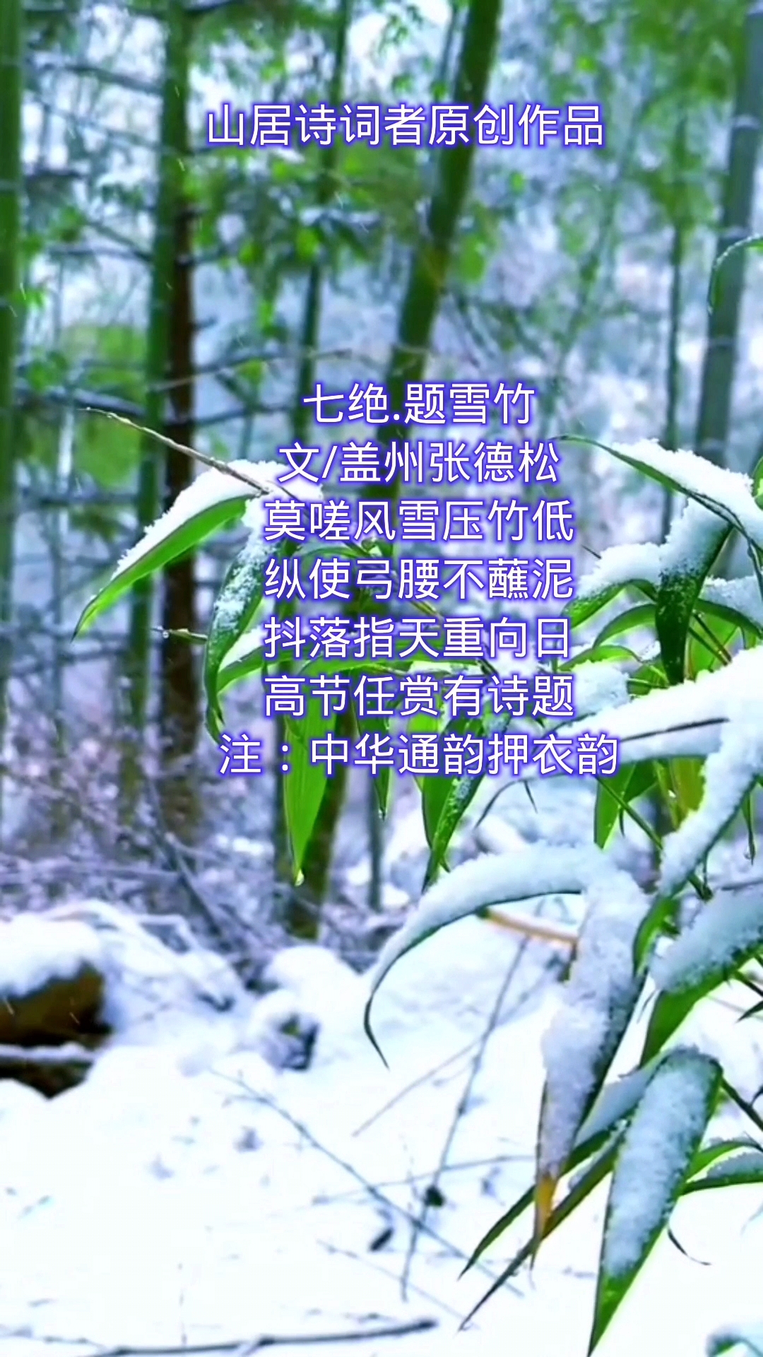 雪竹的诗句古诗图片图片