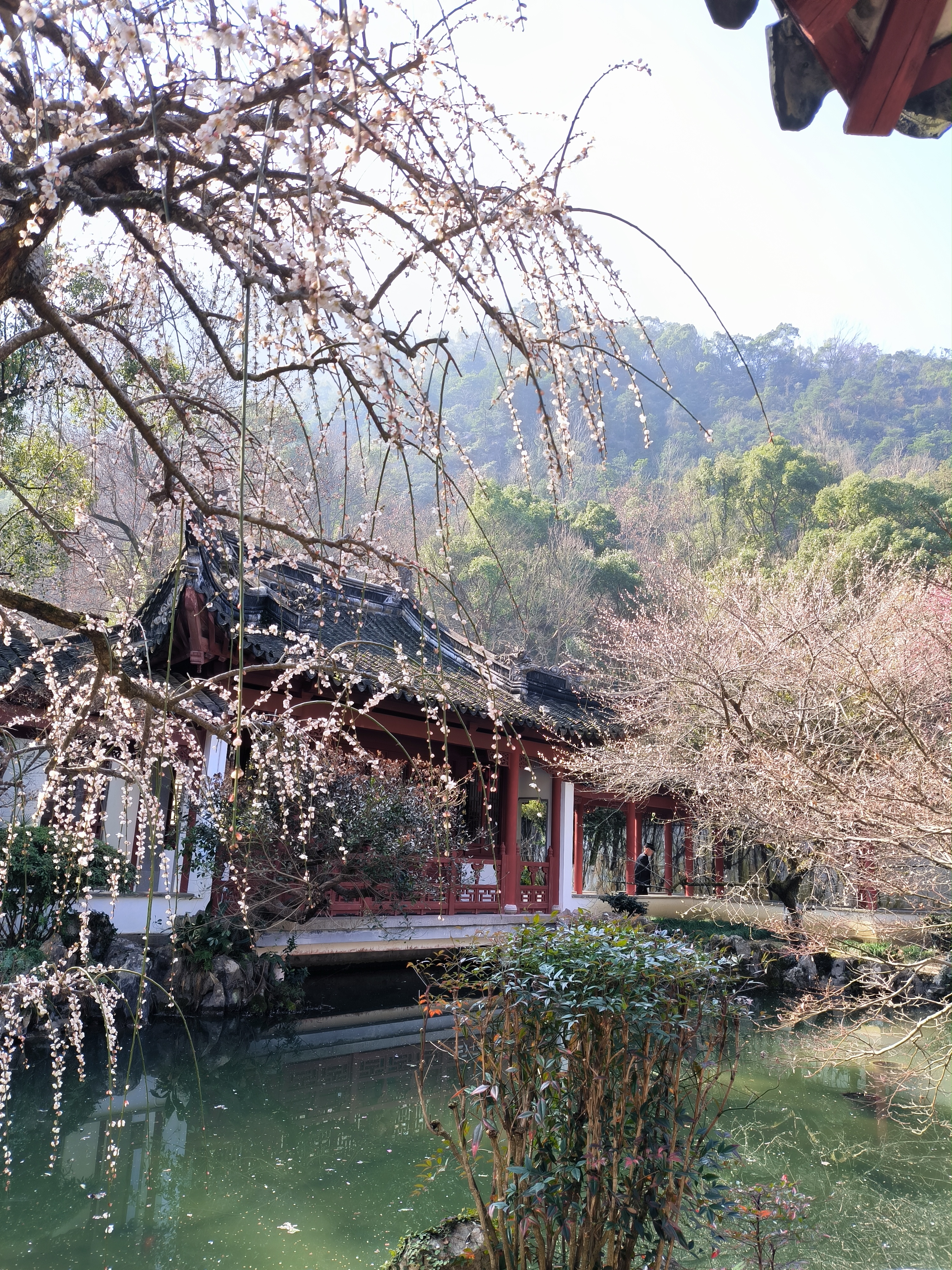 黄岩九峰公园景点介绍图片