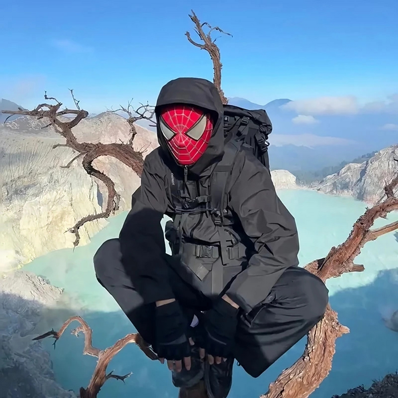 头像/学会释放压力是人类必修课