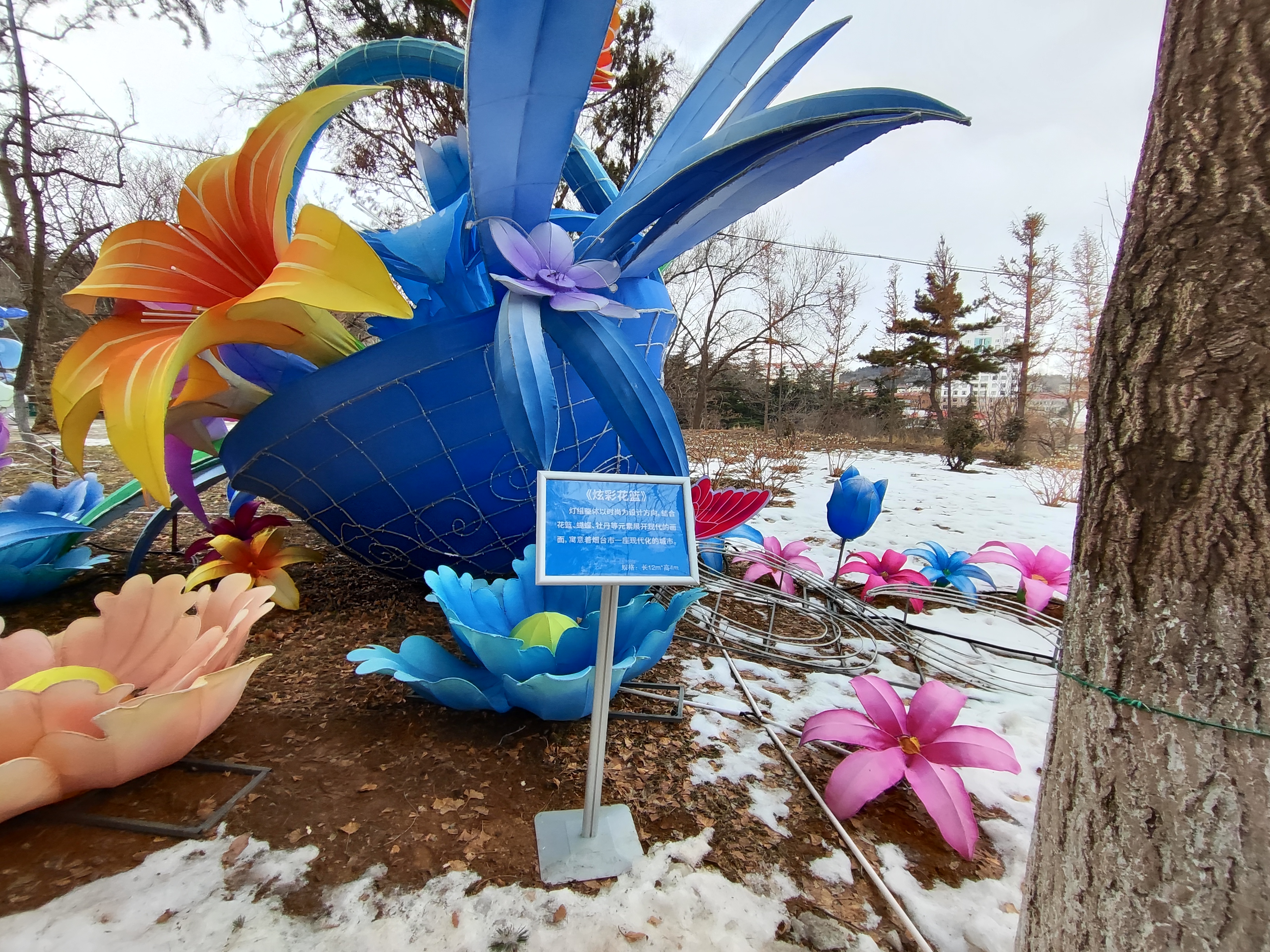 随手拍年味# 炫彩花篮灯,百合花,牡丹花,最生动的是几只蝴蝶,花篮的