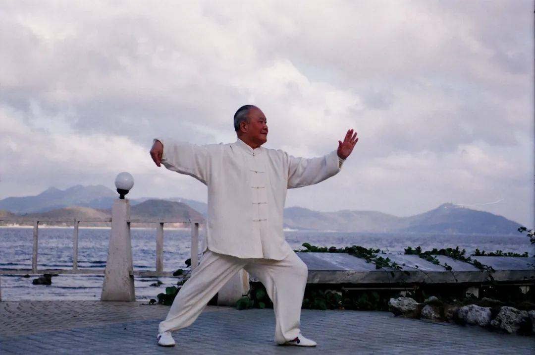 一代宗师杨振铎:太极拳的国际使者,让世界领略中国武术的魅力
