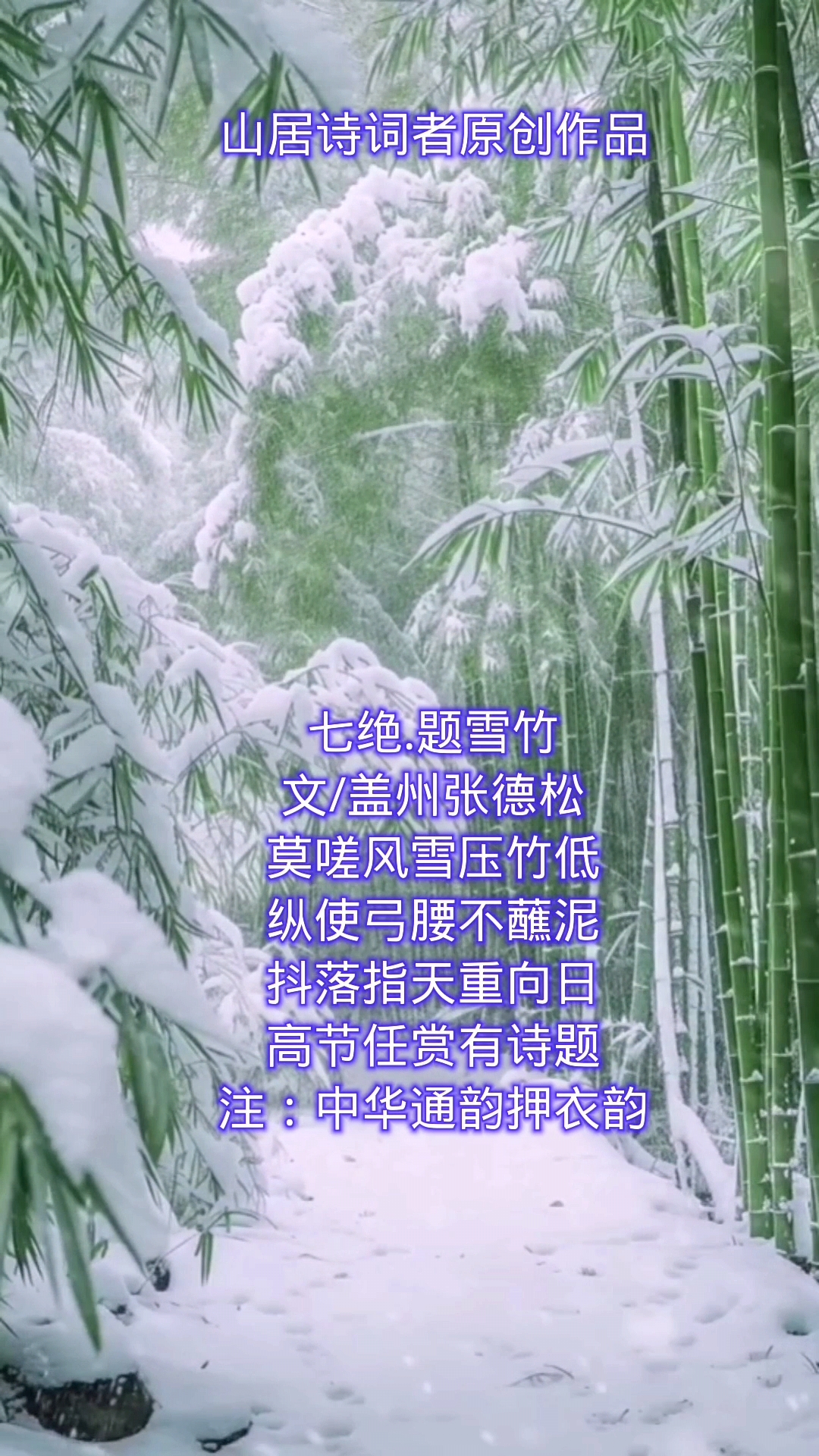 雪竹的诗句古诗图片图片