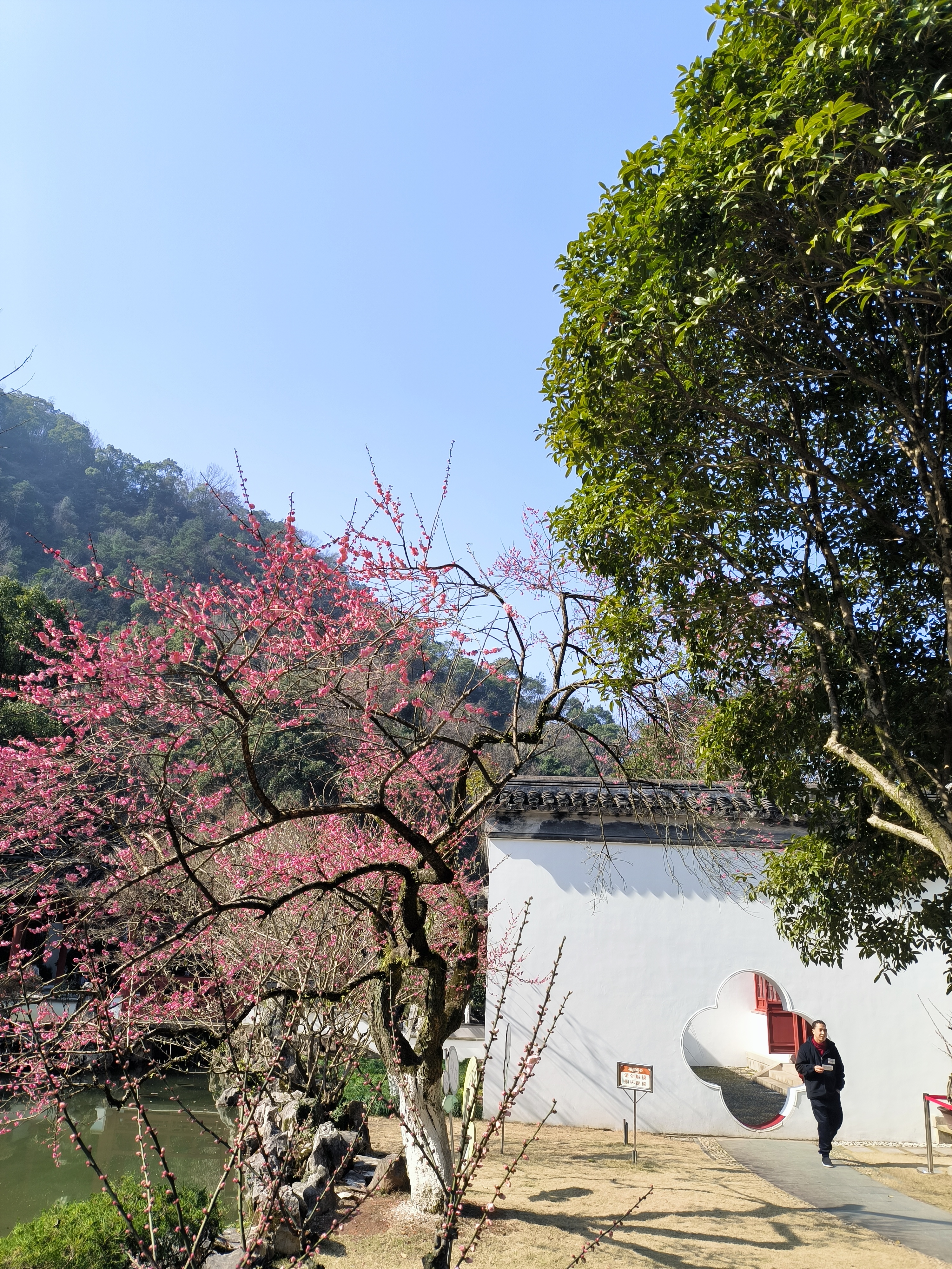 黄岩九峰公园景点介绍图片