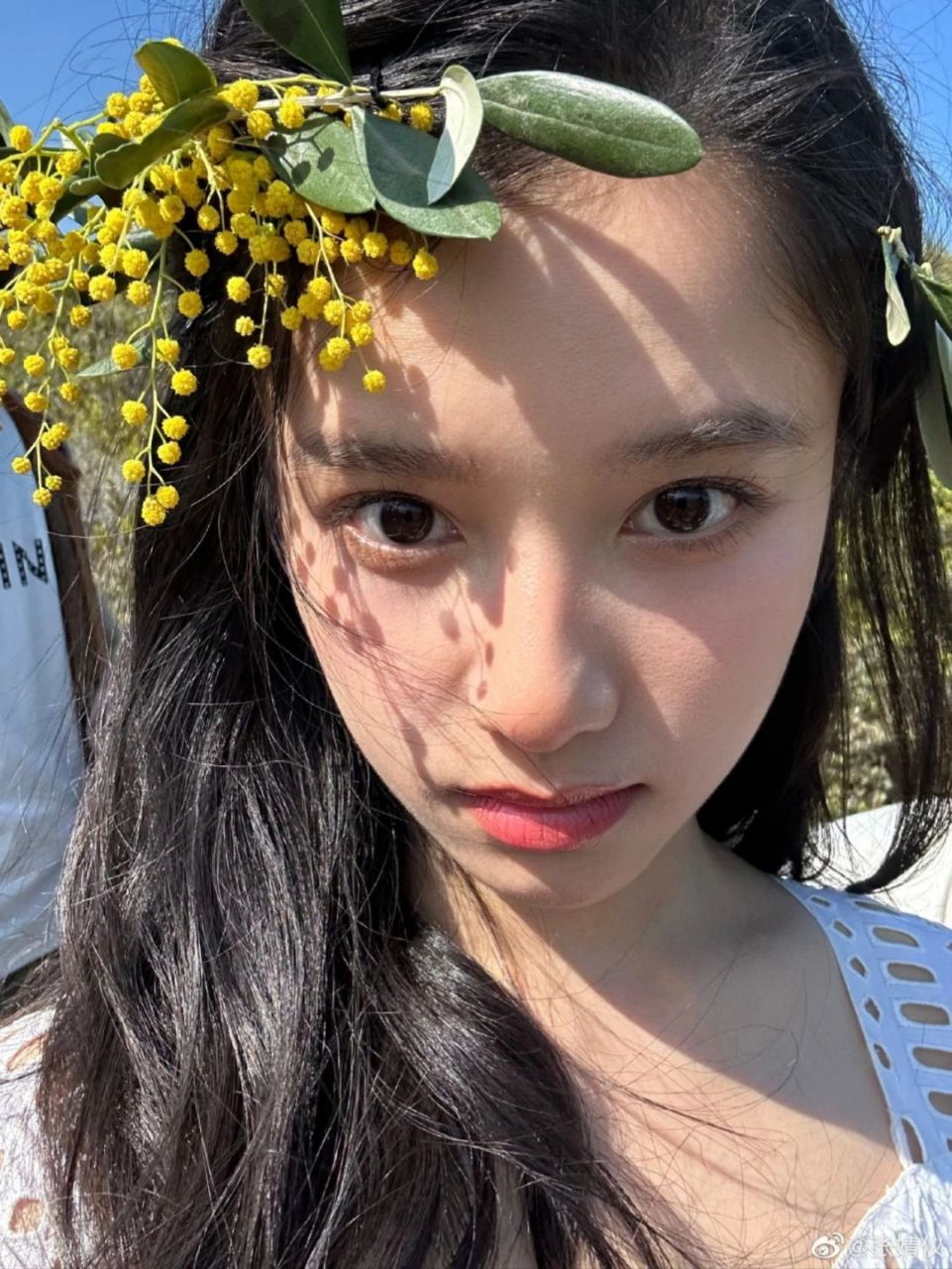 看到张婧仪纯素颜的艺考照,真是被惊艳到了.