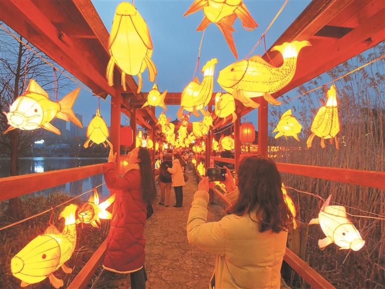 贵阳观山湖:奇巧龙灯惹人爱