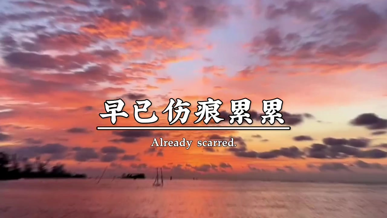 这辈子最对不起的就是,自己的这颗心,让它疼了一次又一次,早已