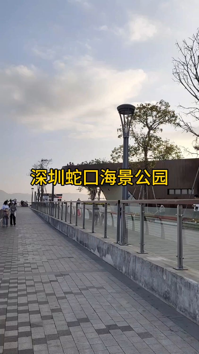 深圳海景公园图片