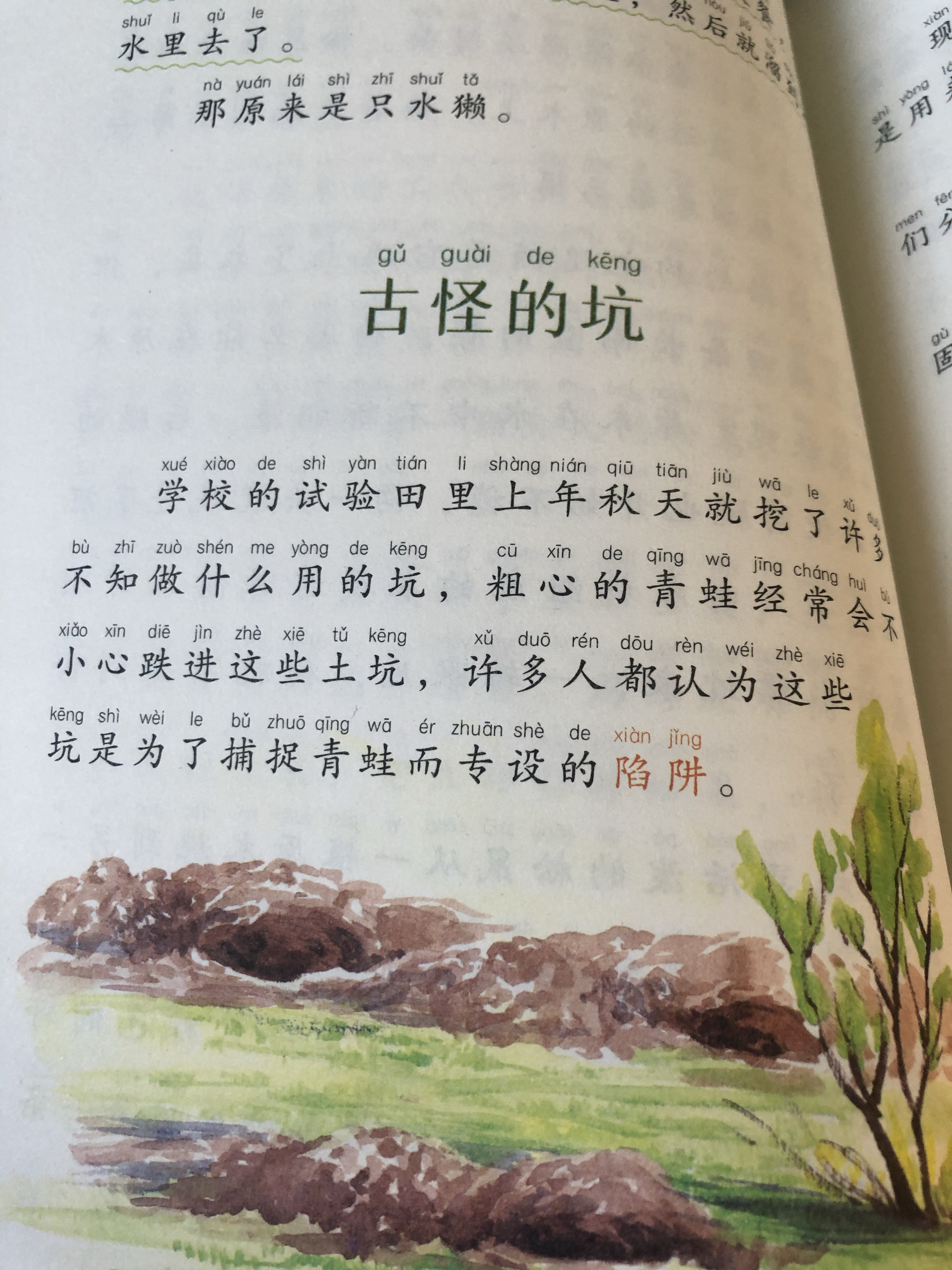 学校的试验田里,上年秋天就挖了许多不知做什么用的坑,粗心的青蛙经常