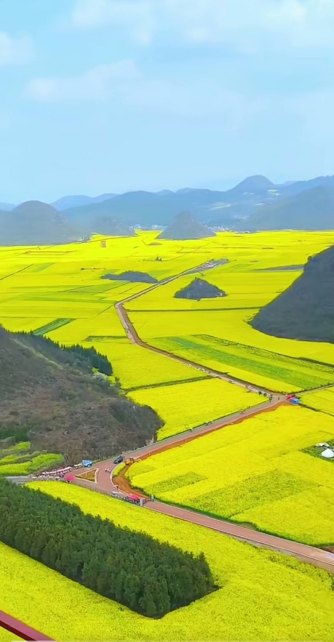 兴义油菜花最佳地点图片