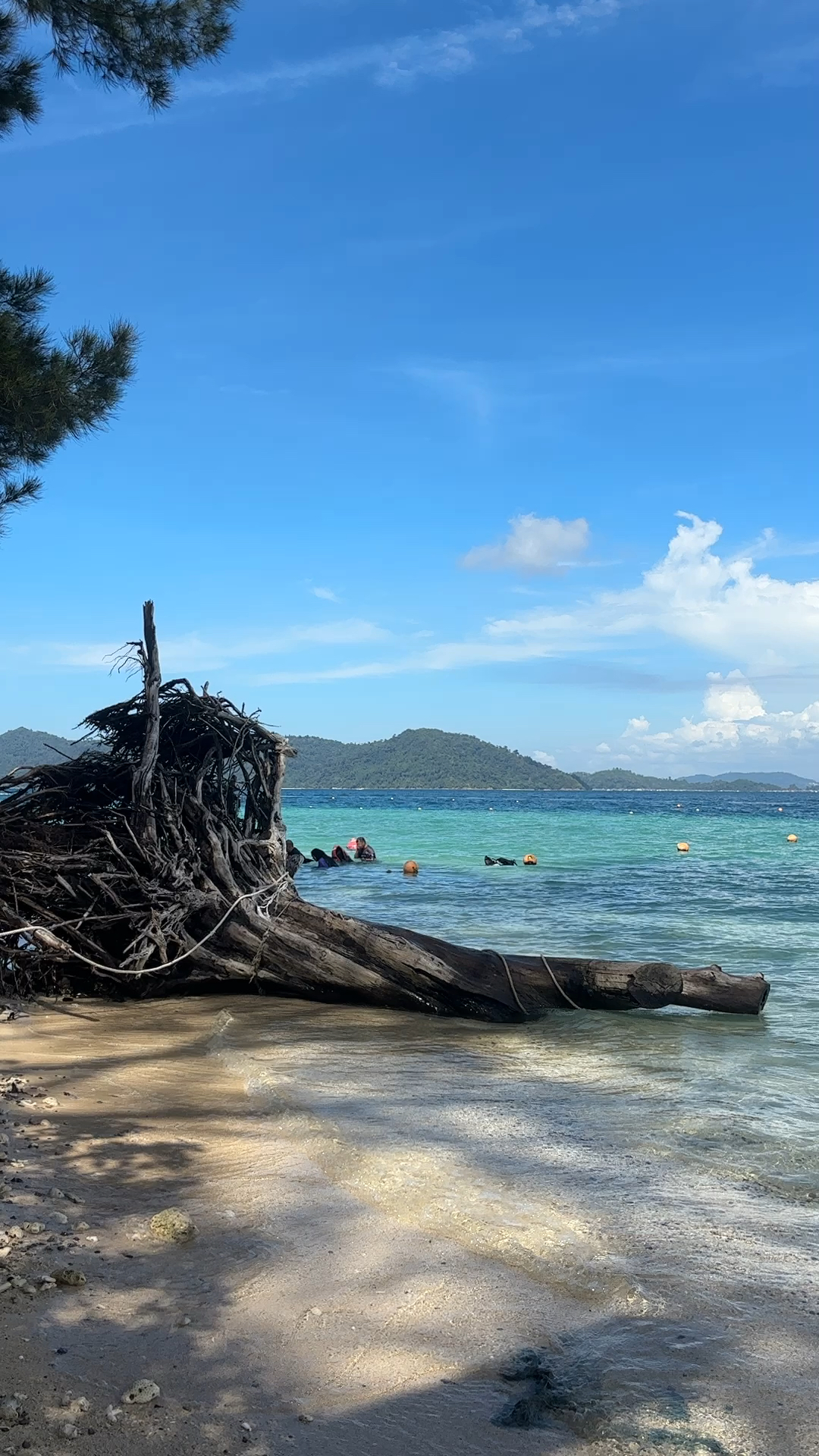 马来西亚亚庇沙皮岛