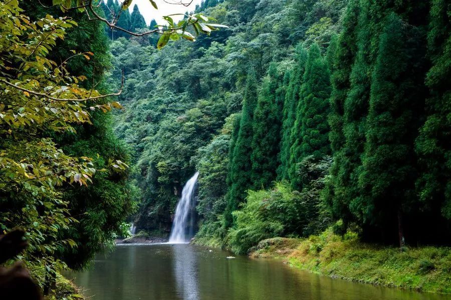 龙苍沟国家森林公园