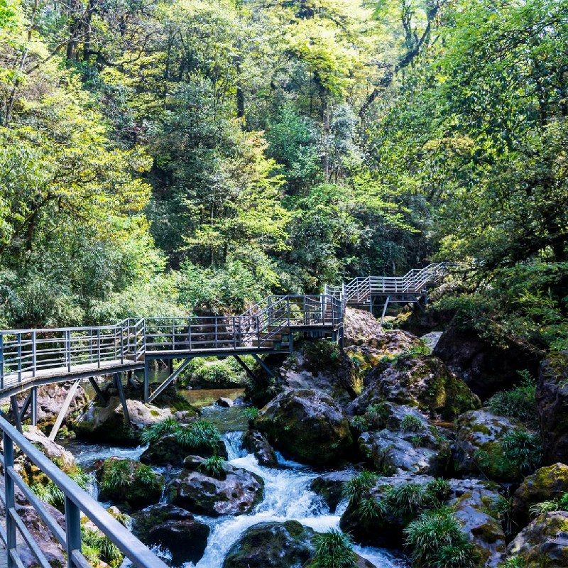 探秘四川龙苍沟国家森林公园,神秘之境,生态乐园