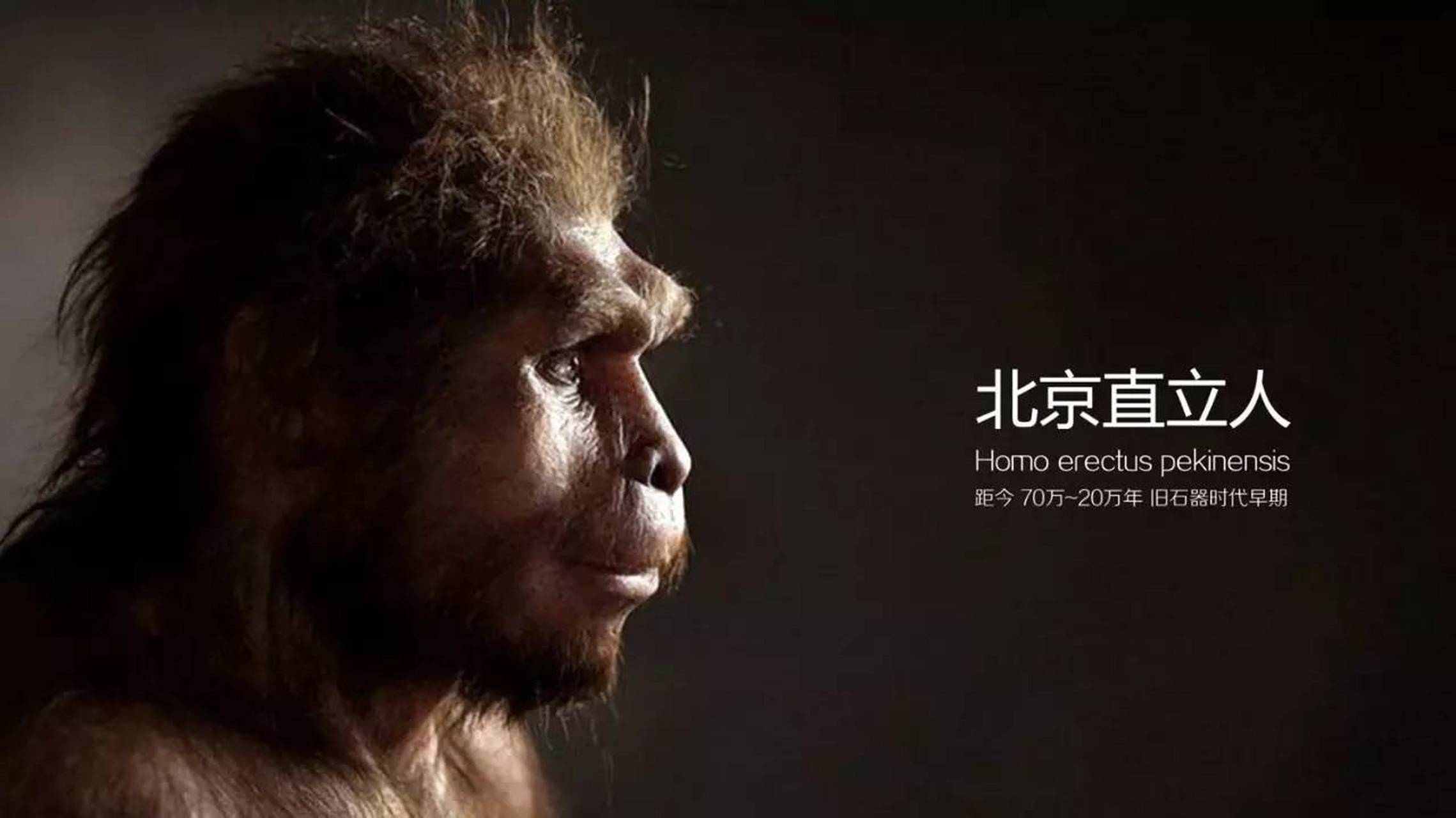 作为人类出现之前的最后一个世代,新生代时期的地球上是真正的纯自然