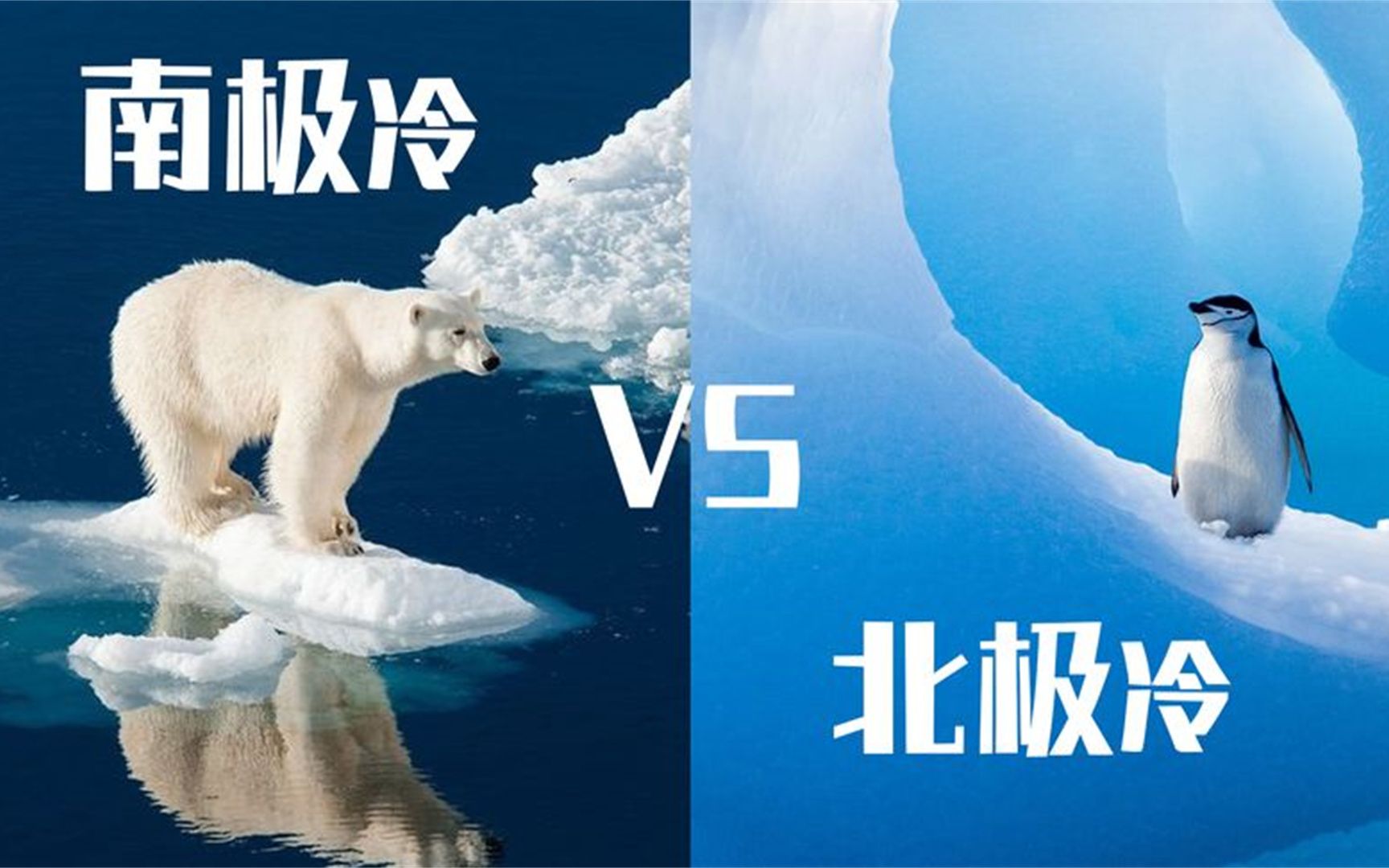 冰封之极,北极与南极,谁更冷?
