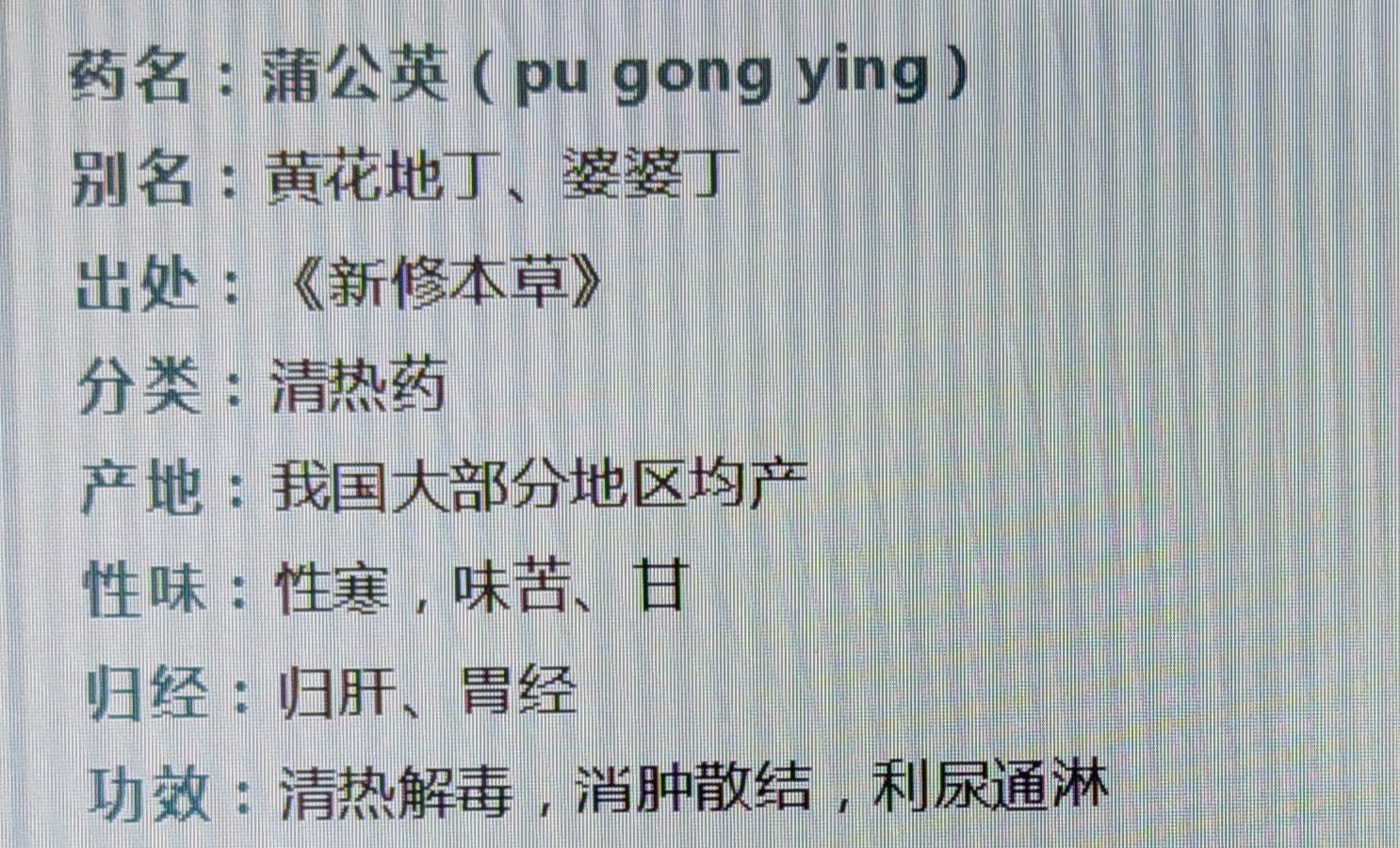 蒲公英归经图片