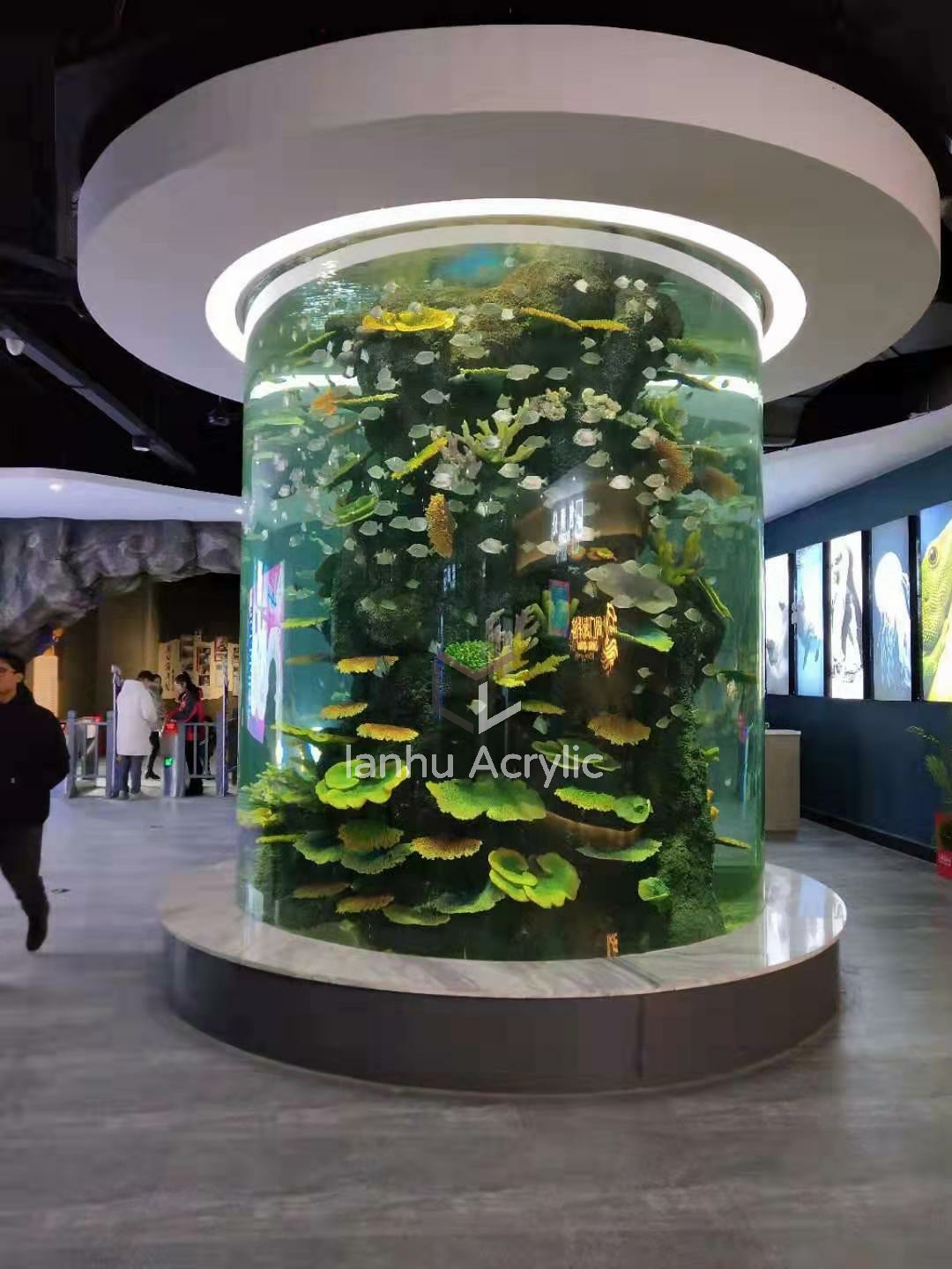 亚克力鱼缸优点大总结