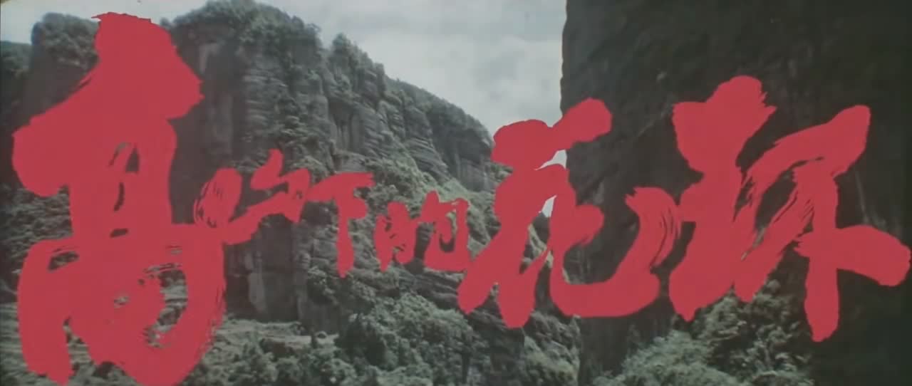 电影《高山下的花环》观后感