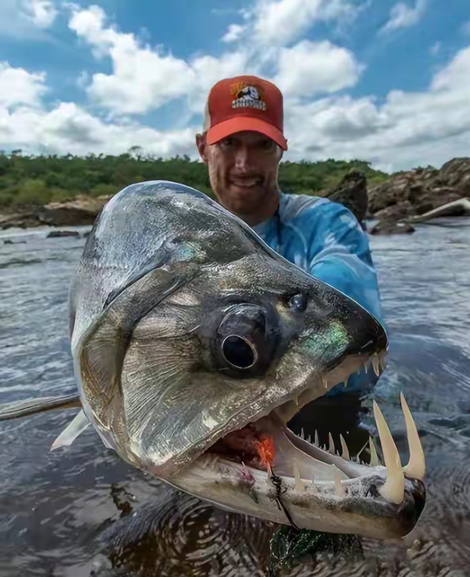 亚马逊食人鱼,自然界的平衡者