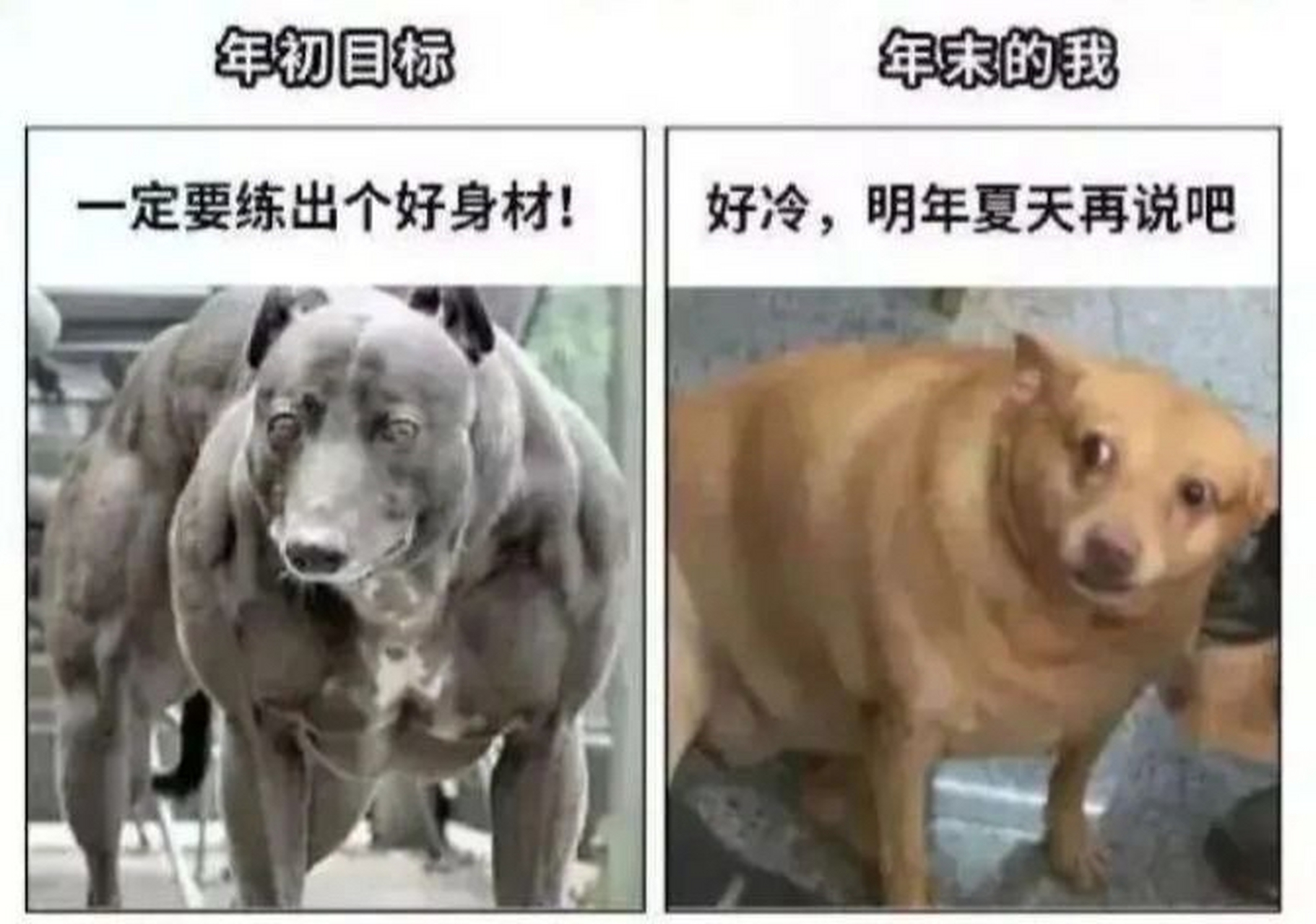 理想与现实的差距