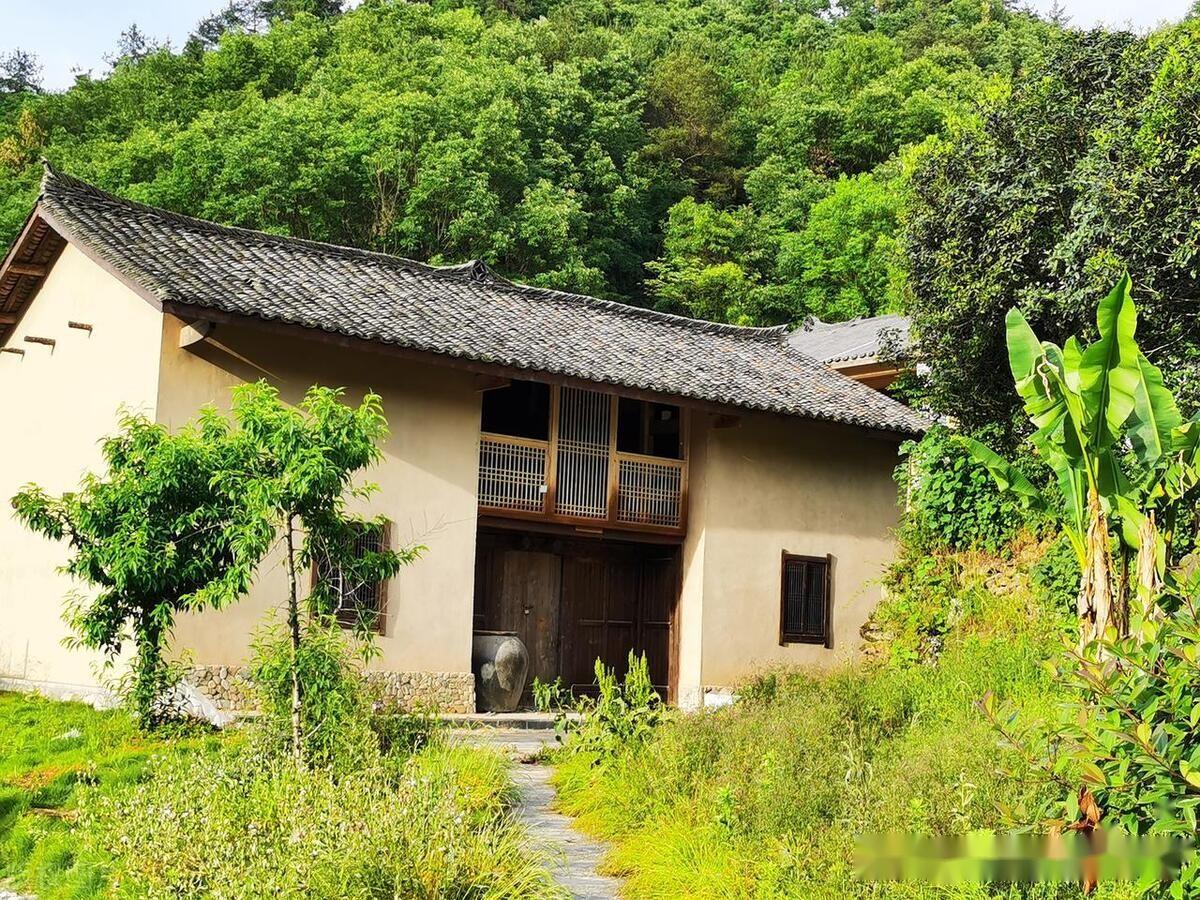 婴儿换亲――欢乐时刻