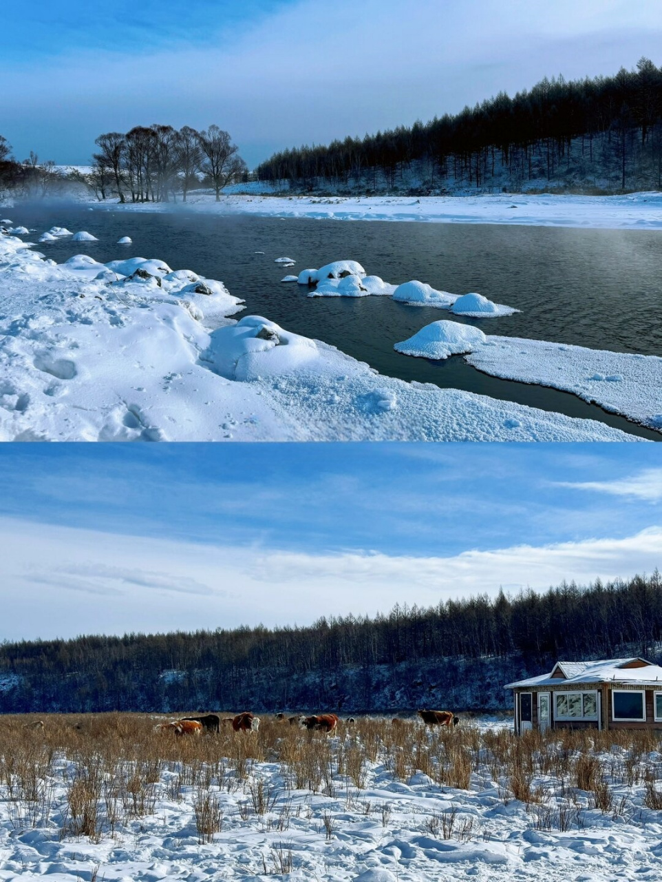 冬天公园里的景色图片