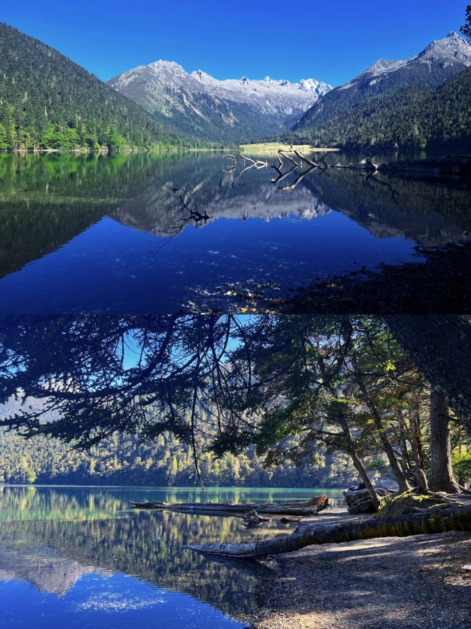 伍须海 秘境探寻  9015 藏于甘孜州九龙县深处的伍须海,虽未正式