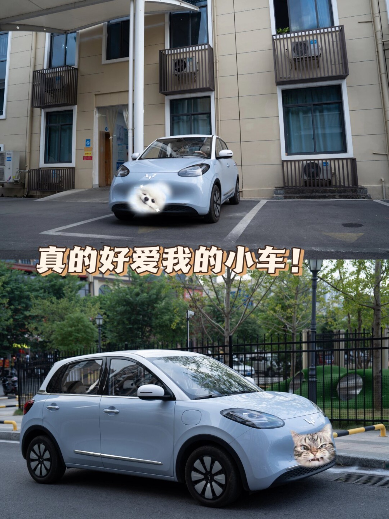 我的第一辆小车车它来了跟爸妈一起挑了又挑选了又选最终选定了