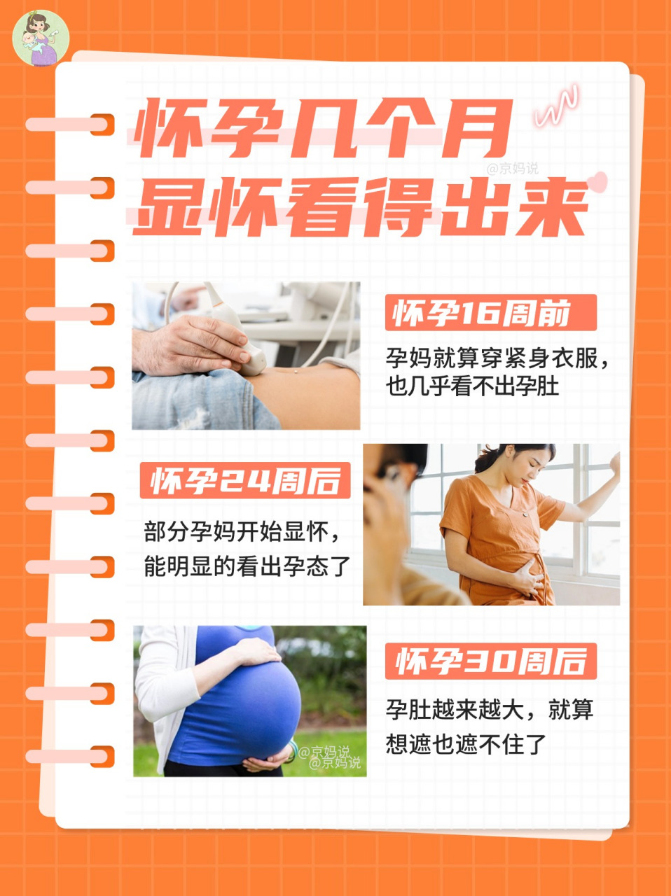 怀孕几个月显怀能看得出来?